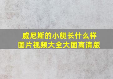 威尼斯的小艇长什么样图片视频大全大图高清版