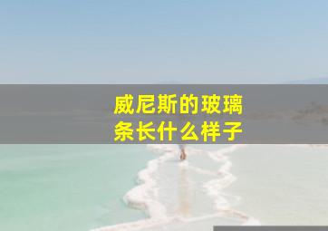 威尼斯的玻璃条长什么样子