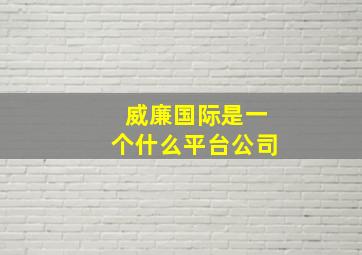 威廉国际是一个什么平台公司