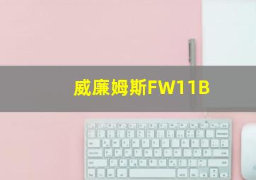 威廉姆斯FW11B