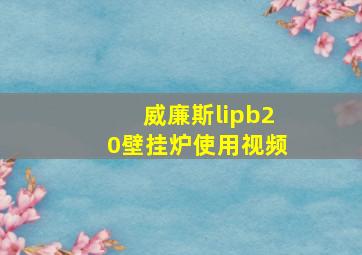 威廉斯lipb20壁挂炉使用视频