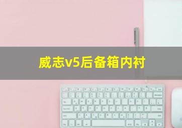 威志v5后备箱内衬