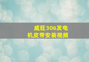 威旺306发电机皮带安装视频