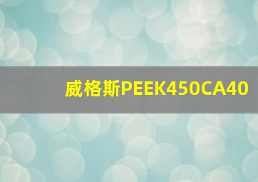 威格斯PEEK450CA40