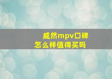 威然mpv口碑怎么样值得买吗