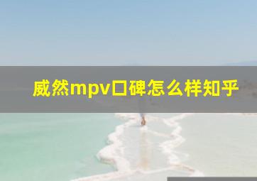 威然mpv口碑怎么样知乎