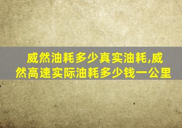 威然油耗多少真实油耗,威然高速实际油耗多少钱一公里