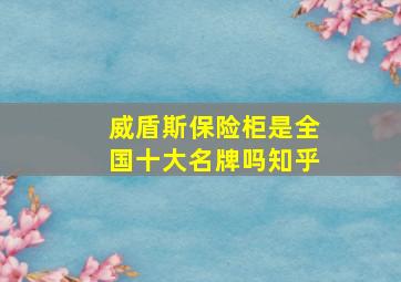 威盾斯保险柜是全国十大名牌吗知乎