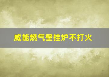 威能燃气壁挂炉不打火