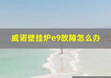 威诺壁挂炉e9故障怎么办