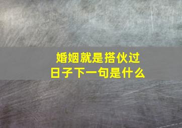 婚姻就是搭伙过日子下一句是什么