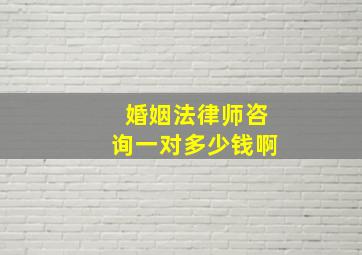 婚姻法律师咨询一对多少钱啊