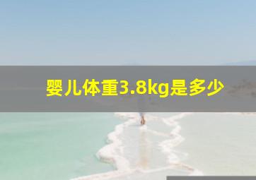 婴儿体重3.8kg是多少