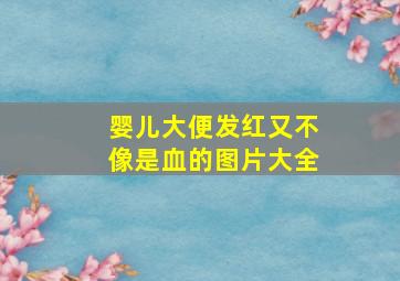 婴儿大便发红又不像是血的图片大全