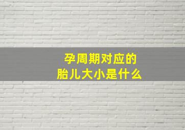 孕周期对应的胎儿大小是什么