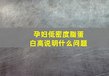 孕妇低密度脂蛋白高说明什么问题