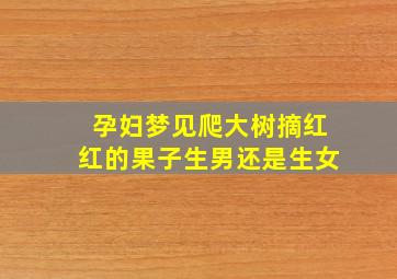 孕妇梦见爬大树摘红红的果子生男还是生女