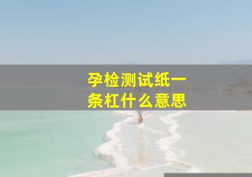 孕检测试纸一条杠什么意思