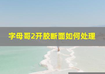 字母哥2开胶断面如何处理