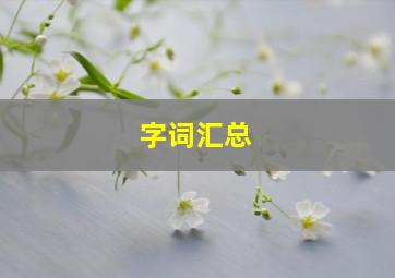 字词汇总