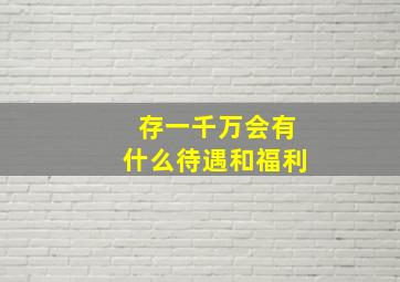 存一千万会有什么待遇和福利