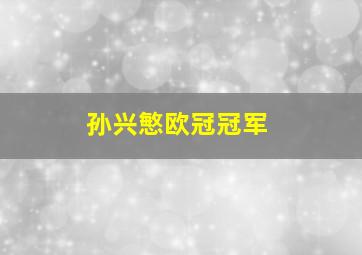 孙兴慜欧冠冠军