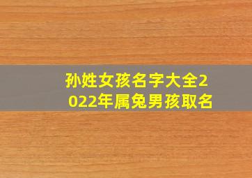 孙姓女孩名字大全2022年属兔男孩取名