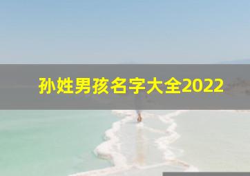 孙姓男孩名字大全2022