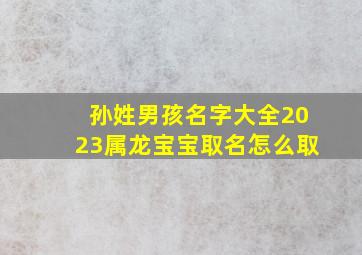 孙姓男孩名字大全2023属龙宝宝取名怎么取