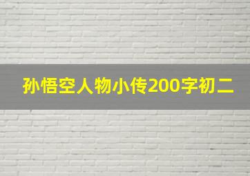 孙悟空人物小传200字初二