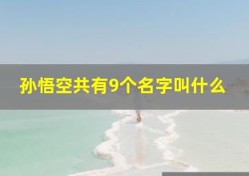 孙悟空共有9个名字叫什么