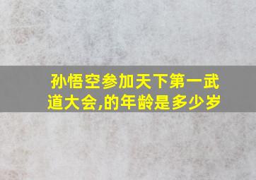 孙悟空参加天下第一武道大会,的年龄是多少岁