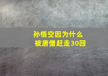 孙悟空因为什么被唐僧赶走30回