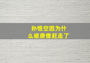 孙悟空因为什么被唐僧赶走了