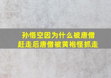 孙悟空因为什么被唐僧赶走后唐僧被黄袍怪抓走