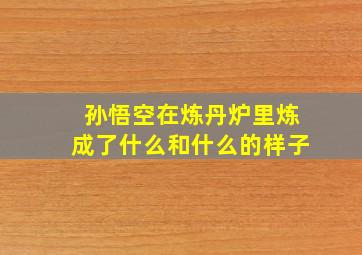 孙悟空在炼丹炉里炼成了什么和什么的样子