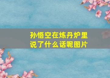 孙悟空在炼丹炉里说了什么话呢图片