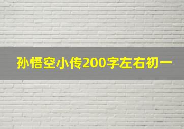 孙悟空小传200字左右初一