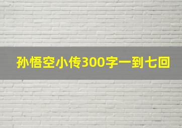 孙悟空小传300字一到七回