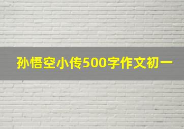 孙悟空小传500字作文初一