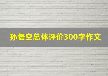 孙悟空总体评价300字作文