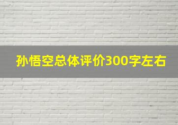 孙悟空总体评价300字左右