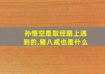 孙悟空是取经路上遇到的,猪八戒也是什么