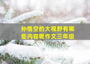 孙悟空的大视野有哪些内容呢作文三年级