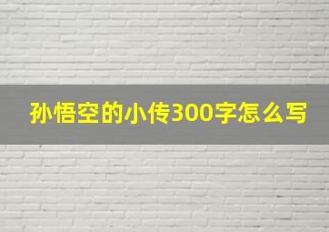 孙悟空的小传300字怎么写