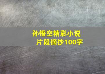 孙悟空精彩小说片段摘抄100字