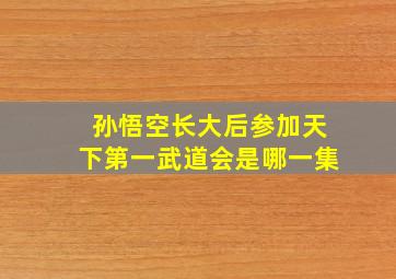 孙悟空长大后参加天下第一武道会是哪一集