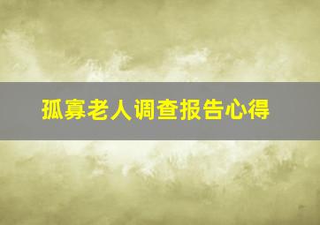 孤寡老人调查报告心得