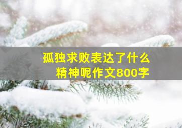 孤独求败表达了什么精神呢作文800字