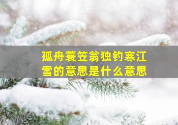 孤舟蓑笠翁独钓寒江雪的意思是什么意思